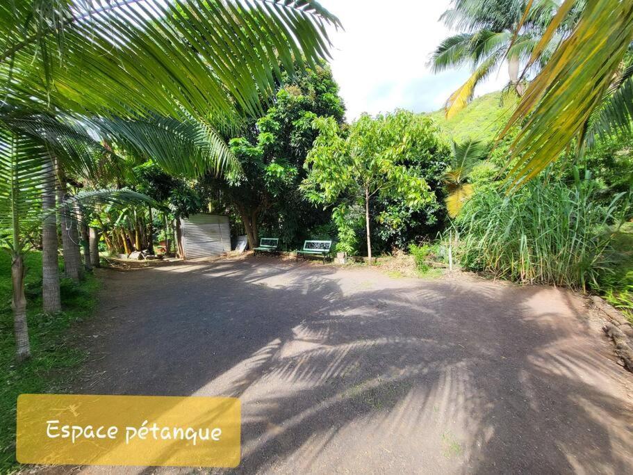 O Palmiste Rouge - Piscine Parking Jardin Petanque Centre Ville Zewnętrze zdjęcie